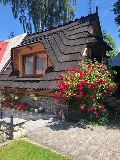 Domek na Harendzie Zakopane Dış mekan fotoğraf